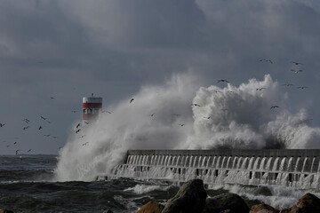 Stormy sea wave splash