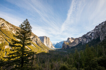 Winter landscape in Yosemite National Park, Unites States Of America