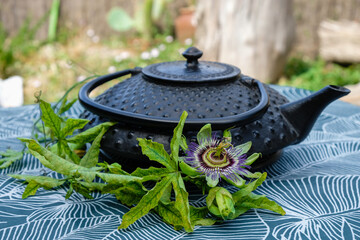 Obraz na płótnie Canvas Asian teapot with a branch of passion flowers on a turquoise tablecloth in the garden in sunlight.
