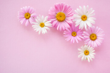 Pink floral background with pink and white flowers daisies asters. Space for congratulations text,...