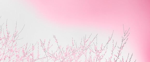 和紙　花柄　模様　梅