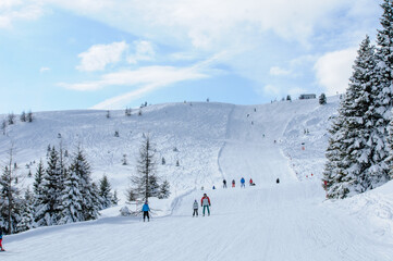 Naklejka premium Winter