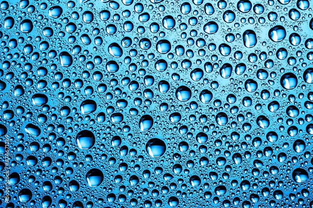 Wall mural water drops background. wet glass surface texture. bubble dew pattern. transparent window blue raind