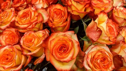 bouquet of orange roses - Powered by Adobe