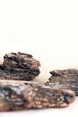 Natural podium made of textured tree bark and dry flowers on beige background...
