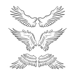 Set of angel wings contour drawing for tattoo. Vector illustration.