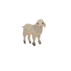 Watercolor baby lamb. Kid. Farm animal. On white background. Illustration. Isolated.