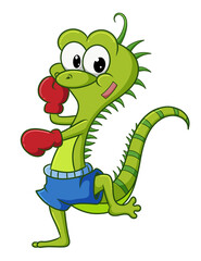 Fototapeta premium The strong iguana is doing the boxing for the battle