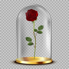 Red rose in a glass flask