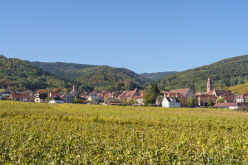 Fototapeta na wymiar Alsatian village of Riquewihr surrounded by its famous vineyard in autumn, Grand Est, France