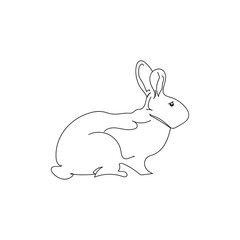 Bunny in line art style.