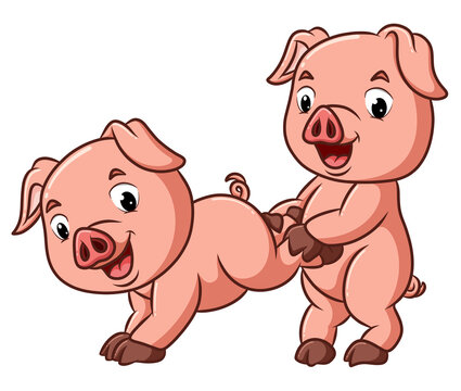 The two happy pigs are playing together