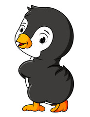 The cute penguin is showing the small tail