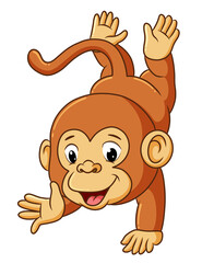 The cute monkey is standing with one hand
