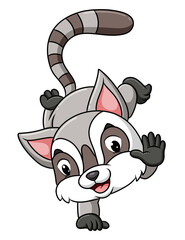 The cute lemur is standing with one hand