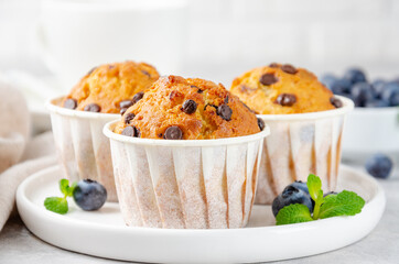 Muffins with chocolate chips on a white plate with cup of coffee and fresh blueberries on a gray concrete background. Copy space.
