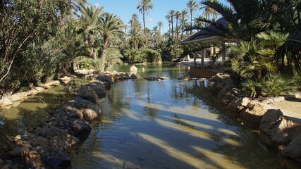 Lagunas del parque publico botánico del Palmeral den Alicante