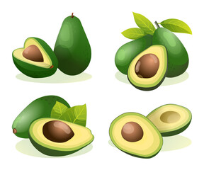 Set of fresh avocado whole and half cut illustration isolated on white background