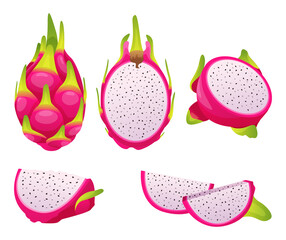 Set of fresh whole, half, cut slice of dragon fruits illustration isolated on white background