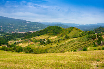 Obraz premium Country landscape near Appignano del Tronto, Marche, Italy