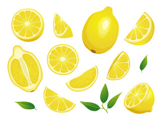 Set of fresh whole, half and cut slice lemon illustration isolated on white background