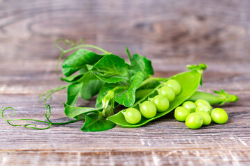 Fresh pods of green peas with leaves, stems and pea flowers on a dark wooden background. Sweet legumes, organic healthy food.
