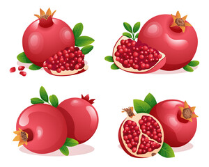 Set of fresh pomegranate whole, half and cut slice illustration isolated on white background