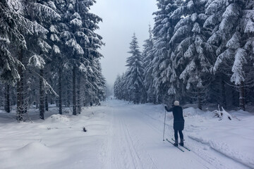 Schöne Winterlandschaft auf den Höhen des Thüringer Waldes bei Oberschönau - Thüringen