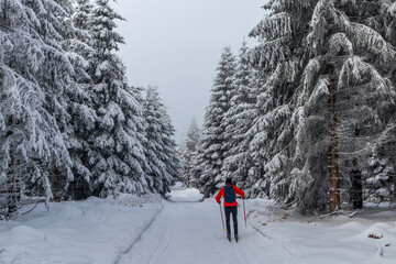 Sch&ouml;ne Winterlandschaft auf den H&ouml;hen des Th&uuml;ringer Waldes bei Obersch&ouml;nau - Th&uuml;ringen