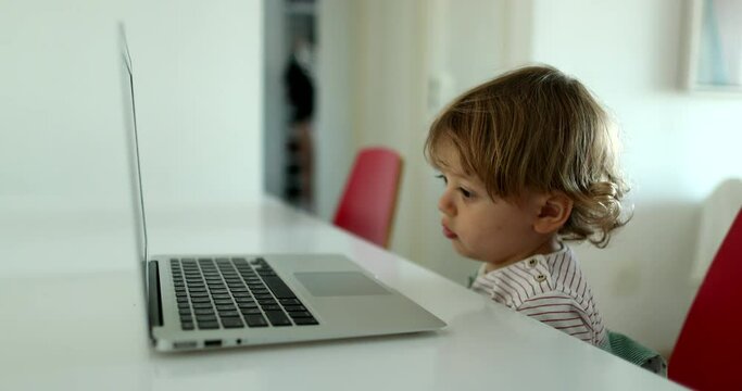 Little boy staring at laptop screen watching media. Baby child watches cartoon