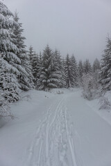 Schöne Winterlandschaft auf den Höhen des Thüringer Waldes bei Oberschönau - Thüringen
