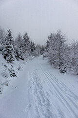 Sch&ouml;ne Winterlandschaft auf den H&ouml;hen des Th&uuml;ringer Waldes bei Obersch&ouml;nau - Th&uuml;ringen