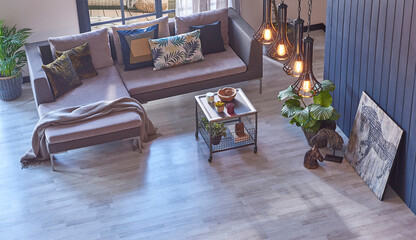 Grey sofa up shooting view, carpet parquet design middle table and vase of plant style.