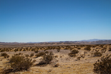 Blick in die Wüste in Nevada. Viel Sand, Berge und wenig Vegetation.
