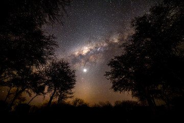 Milky Way and some trees in Botswana