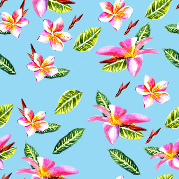 plumeria pink flowers and green leaves painted with watercolor seamless patterns. for creating backgrounds