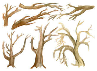 Trees and branches dry painted with watercolor