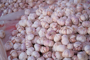Pile of Garlic bulbs in the market use as background