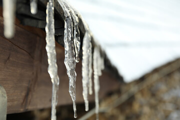 Fototapeta premium Icicle hanging from the roof, close up and selective focus