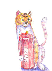 Hand drawn illustration year of the tiger. Watercolor pencils.
