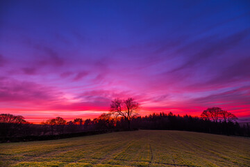 Obraz na płótnie Canvas Yellison Sunset Red Sky