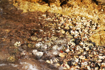 Environmenatl issues and dead coral. Climate change, Rising Sea Temperatures, pollution and tourism concept