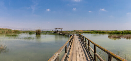 Fototapeta premium Natural park of the hondo in Elche, Alicante, spain.