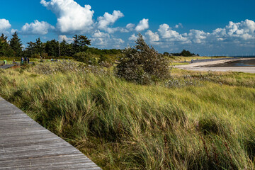 Bohlender zwischen Nieblum und Greveling