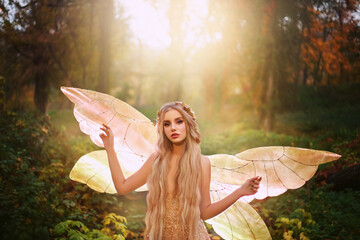 Fantasy woman fairy fashion model in fabolous summer forest. Girl elf goddess of nature. Golden pixie wings costume, sexy shiny glow dress. Cute face lady princess queen of butterfly, sun magic light - obrazy, fototapety, plakaty