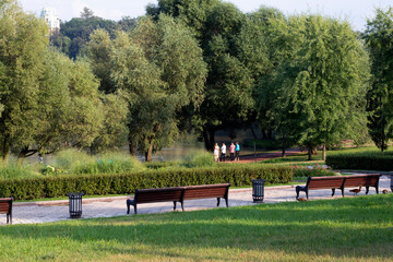 benches in the park in the background lake