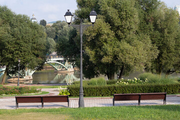 lake with a bridge in the park
