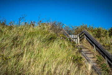 Bohlender zwischen Nieblum und Greveling