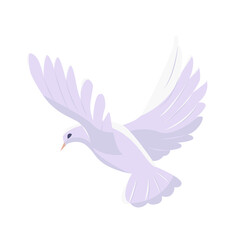 White pigeon dove flying isolated on white background. Peace symbol. Vector illustration.