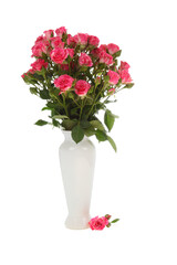 Bouquet of roses in a white vase